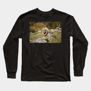 Bär / Swiss Artwork Photography Long Sleeve T-Shirt